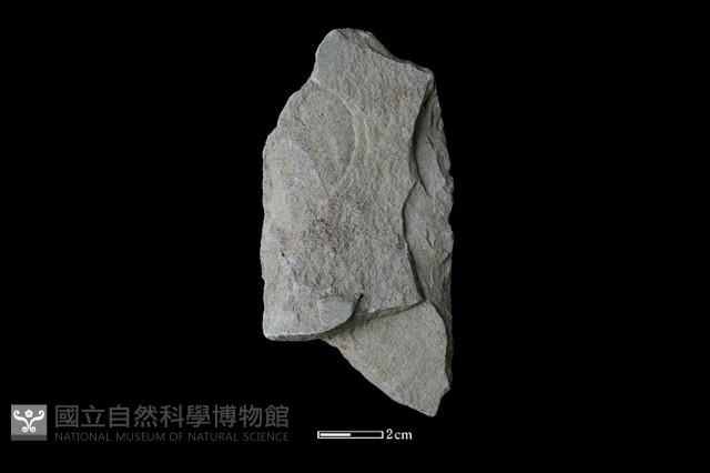 斧鋤形器藏品圖，第2張