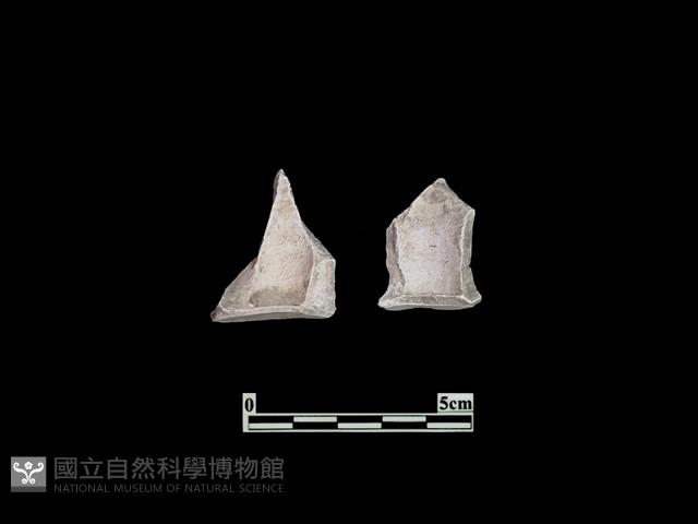 陶杯藏品圖，第2張