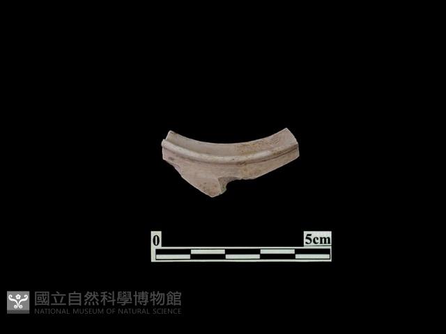 陶片藏品圖，第2張