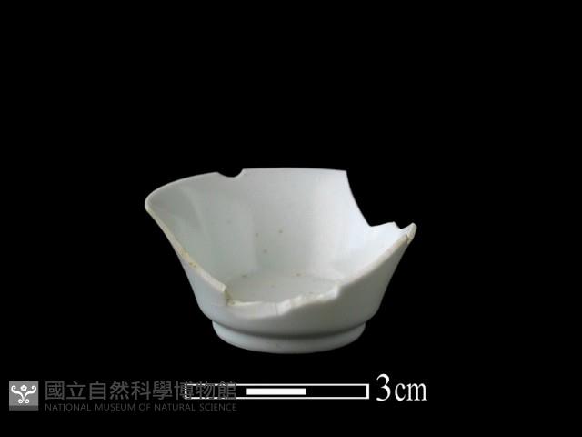 瓷杯藏品圖，第1張