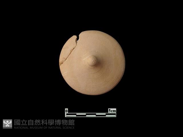 陶蓋藏品圖，第1張