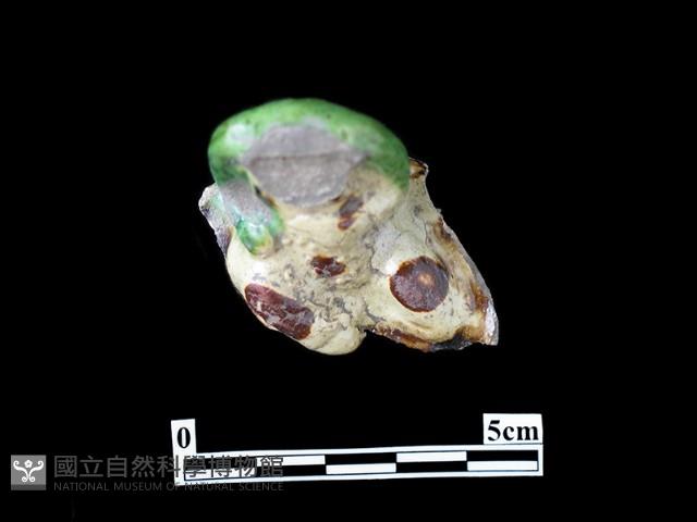 陶塑藏品圖，第1張