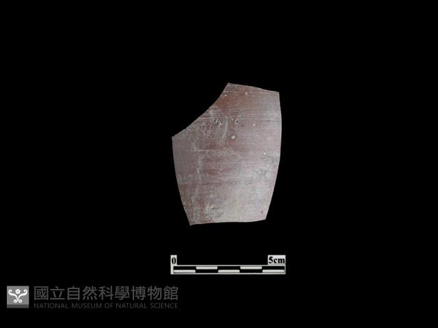 陶罐藏品圖，第1張