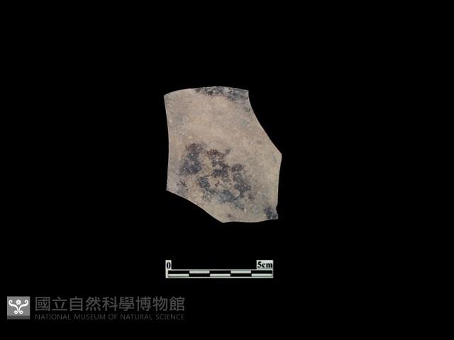 陶片藏品圖，第2張