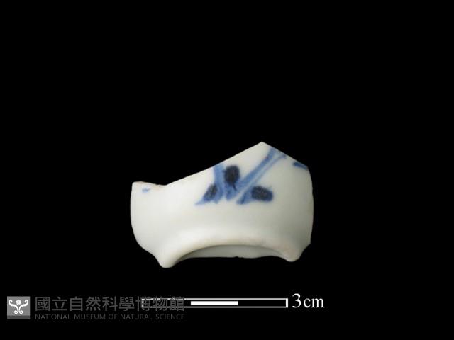 瓷杯藏品圖，第1張