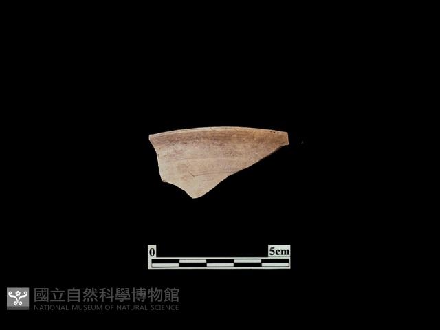 Accession Number:PTT-PP32 Collection Image, Figure 1, Total 2 Figures