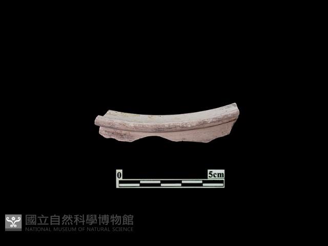 陶片藏品圖，第1張