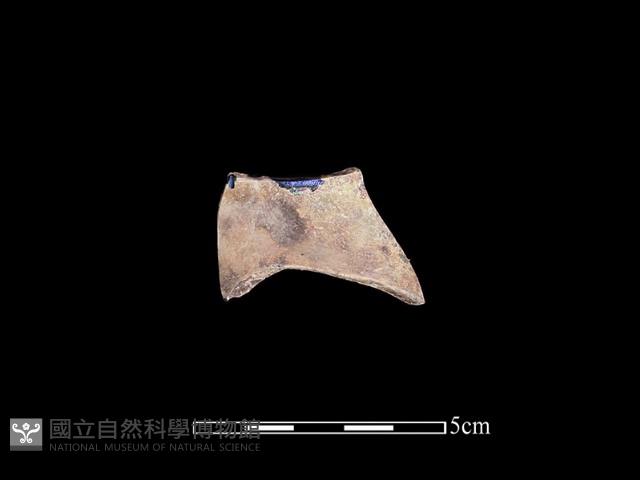 玻璃器藏品圖，第1張