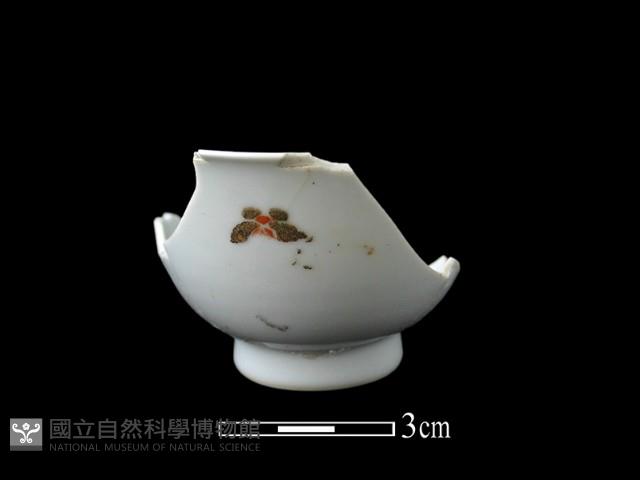 瓷杯藏品圖，第1張