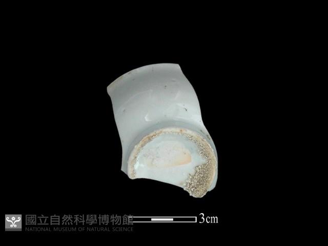 瓷杯藏品圖，第2張