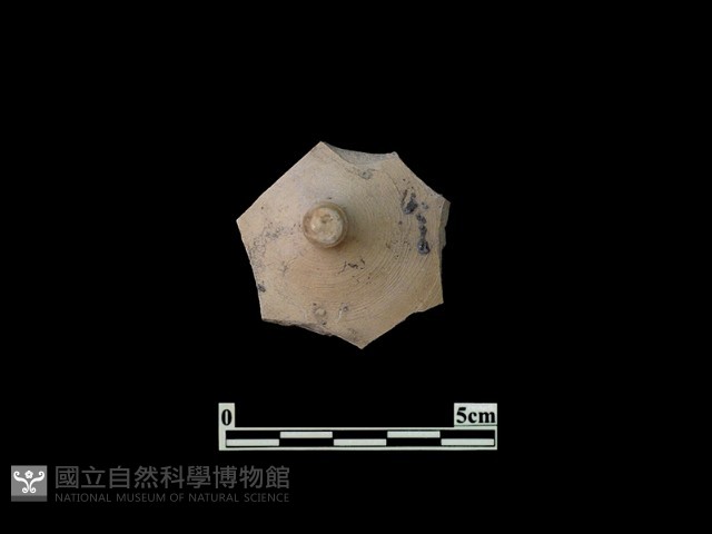 陶蓋藏品圖，第1張
