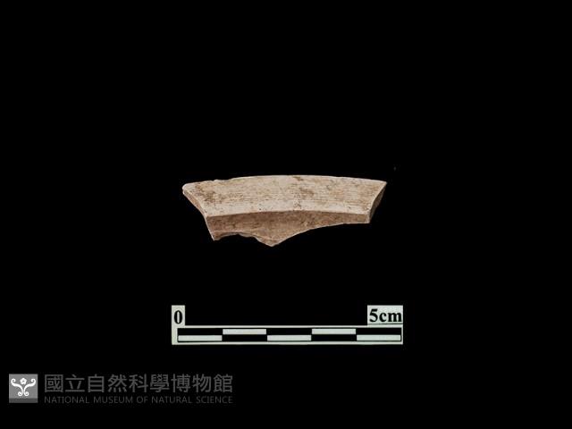 陶片藏品圖，第2張