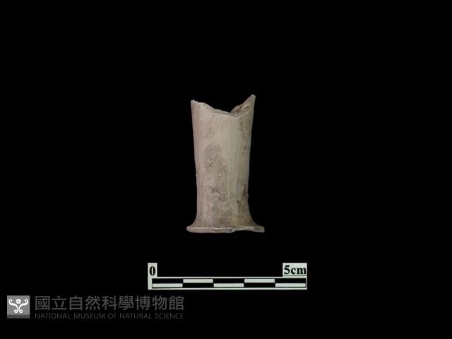 陶杯藏品圖，第2張