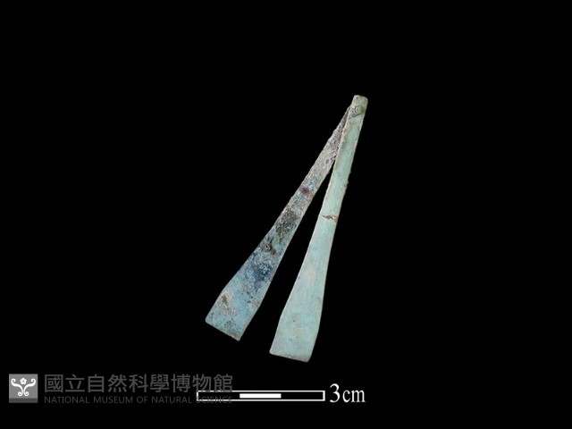 銅鑷子藏品圖，第2張