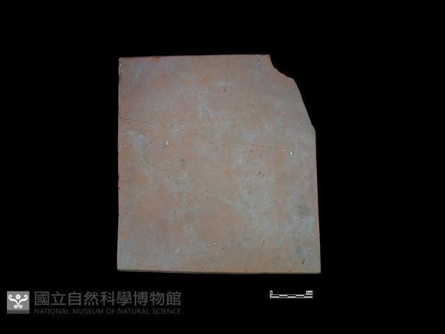 瓦片藏品圖，第1張