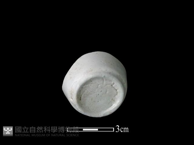 瓷杯藏品圖，第1張