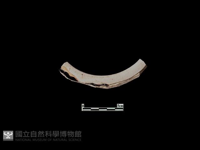 陶片藏品圖，第2張