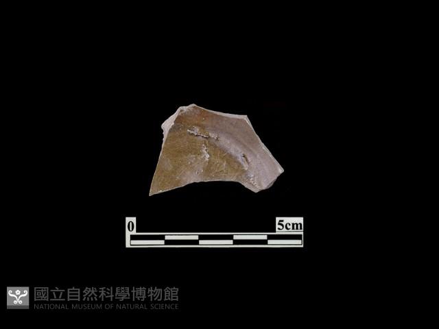 陶皿藏品圖，第1張