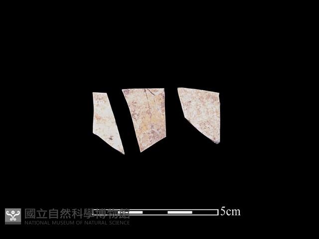 玻璃器藏品圖，第1張