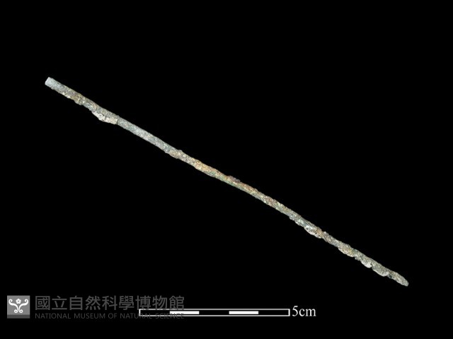 髮簪藏品圖，第1張