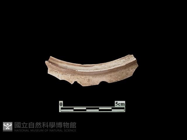 陶片藏品圖，第1張