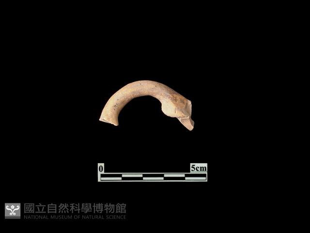 陶片藏品圖，第2張