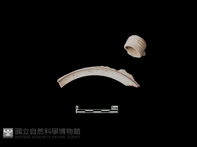 陶片藏品圖，第1張