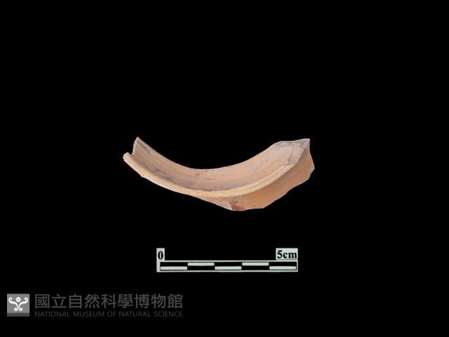 陶片藏品圖，第1張