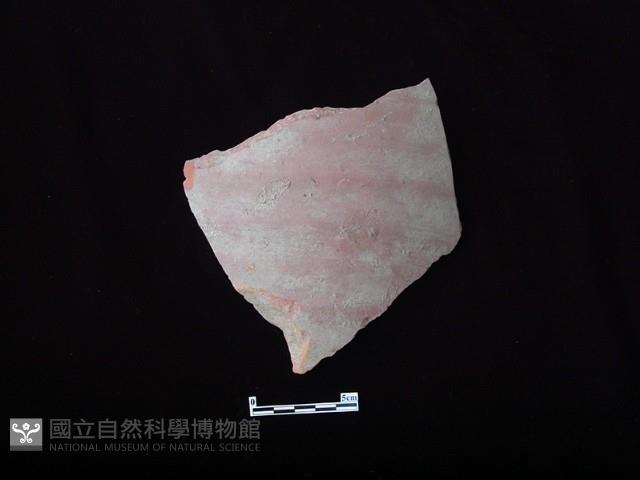 煙囪藏品圖，第2張