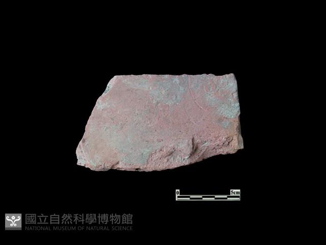 磚藏品圖，第1張