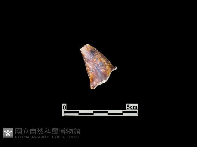 陶壺藏品圖，第2張