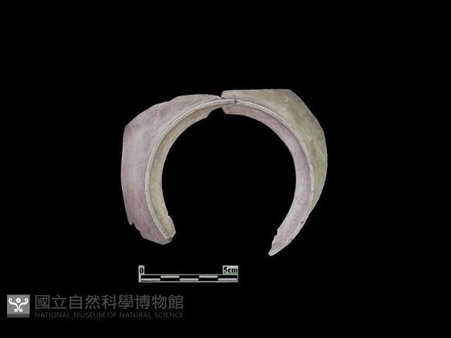 陶片藏品圖，第2張