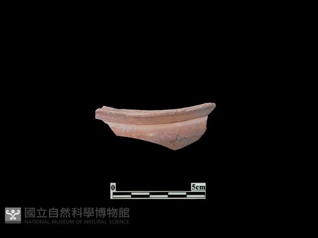 陶片藏品圖，第1張