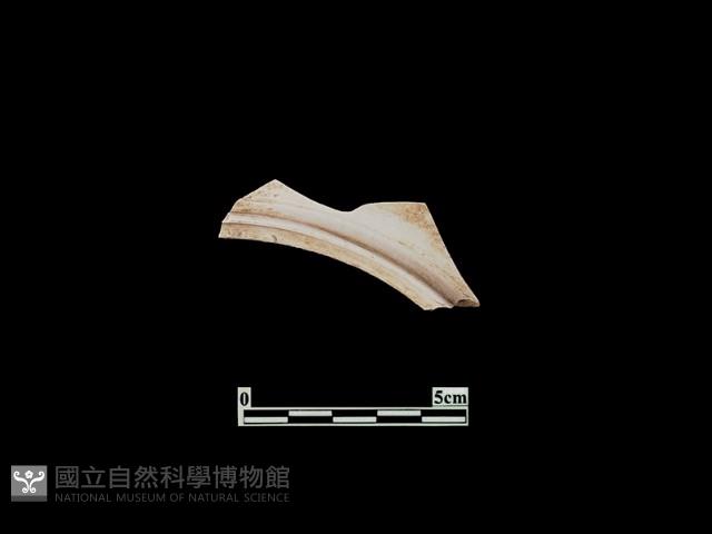 Accession Number:PTT-PP38 Collection Image