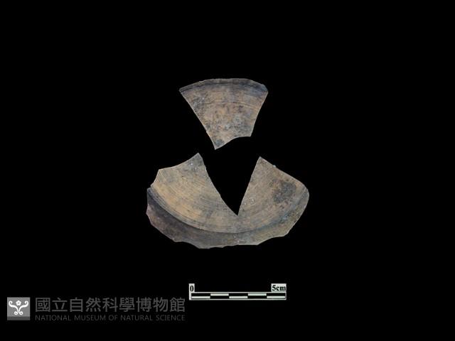 陶片藏品圖，第1張