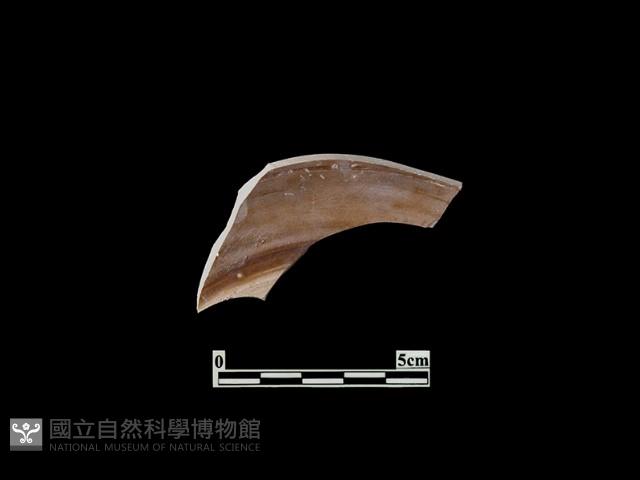 陶皿藏品圖，第2張