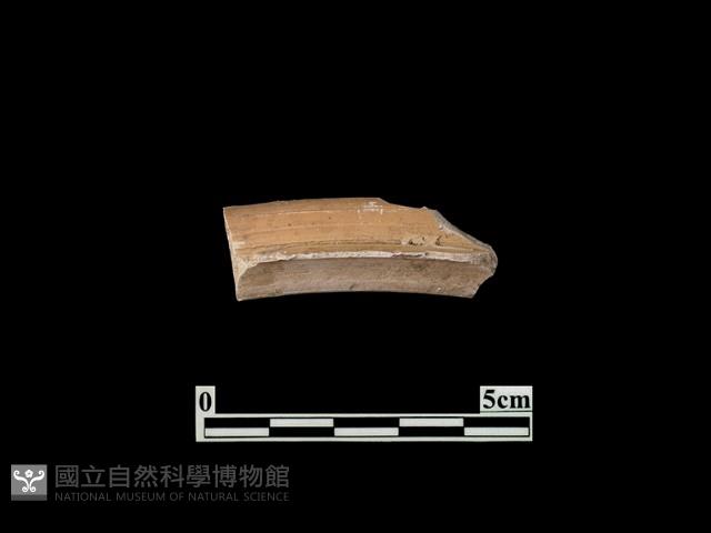 陶片藏品圖，第1張