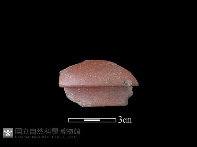 茶壺藏品圖，第2張