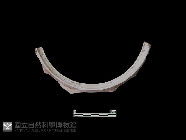 陶片藏品圖，第1張