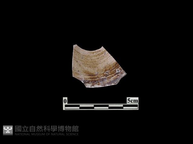 陶罐藏品圖，第2張