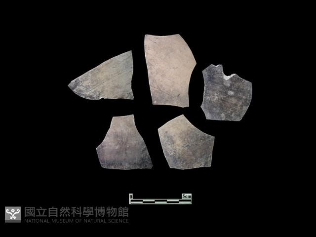 陶片藏品圖，第2張