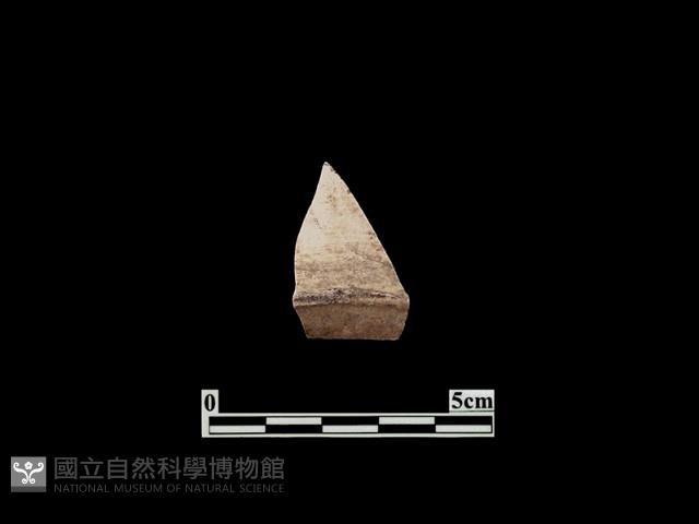 陶皿藏品圖，第2張