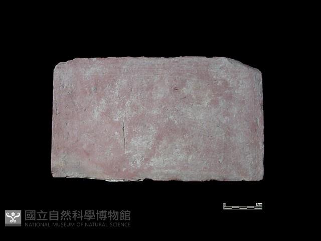 磚藏品圖，第2張