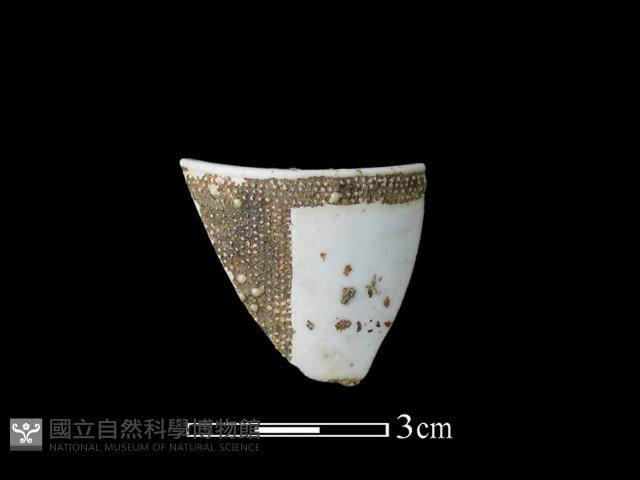 瓷杯藏品圖，第1張