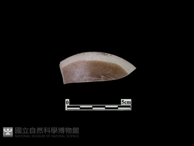 陶蓋藏品圖，第1張