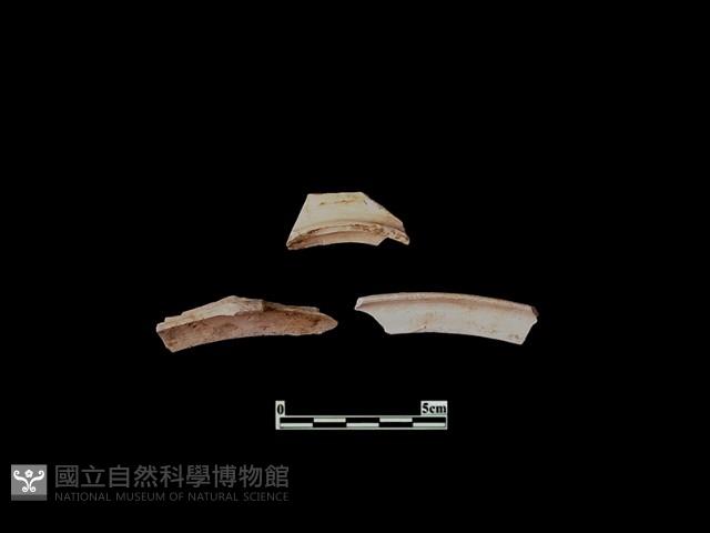 陶片藏品圖，第2張