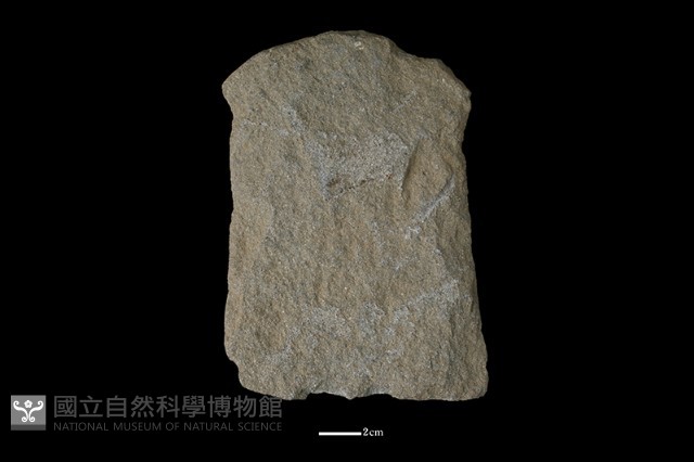 打製石器藏品圖，第2張