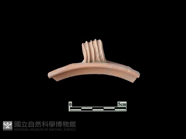 陶片藏品圖，第1張