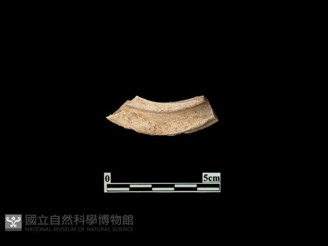 陶蓋藏品圖，第1張