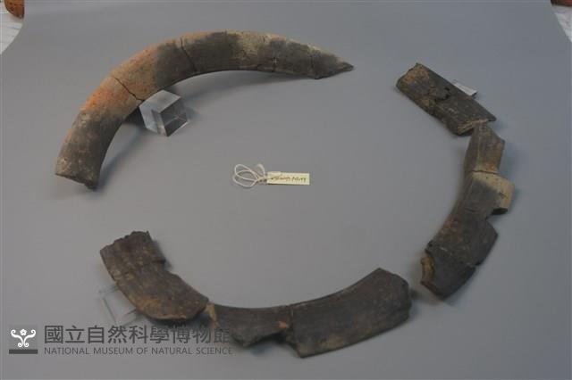 陶罐藏品圖，第5張